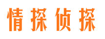 栖霞侦探